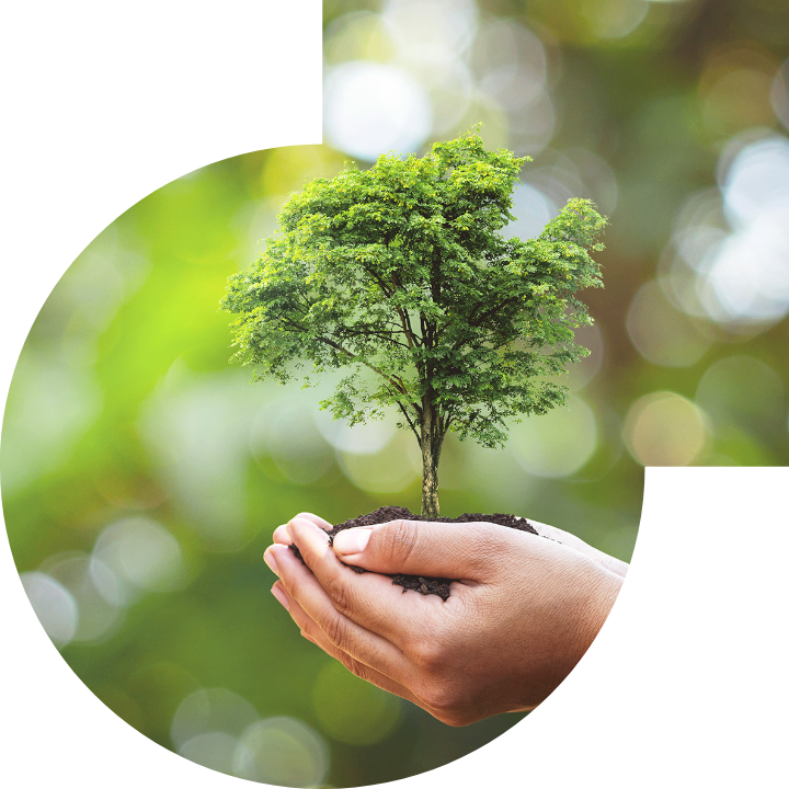 关怀人类、文化、环境与社会